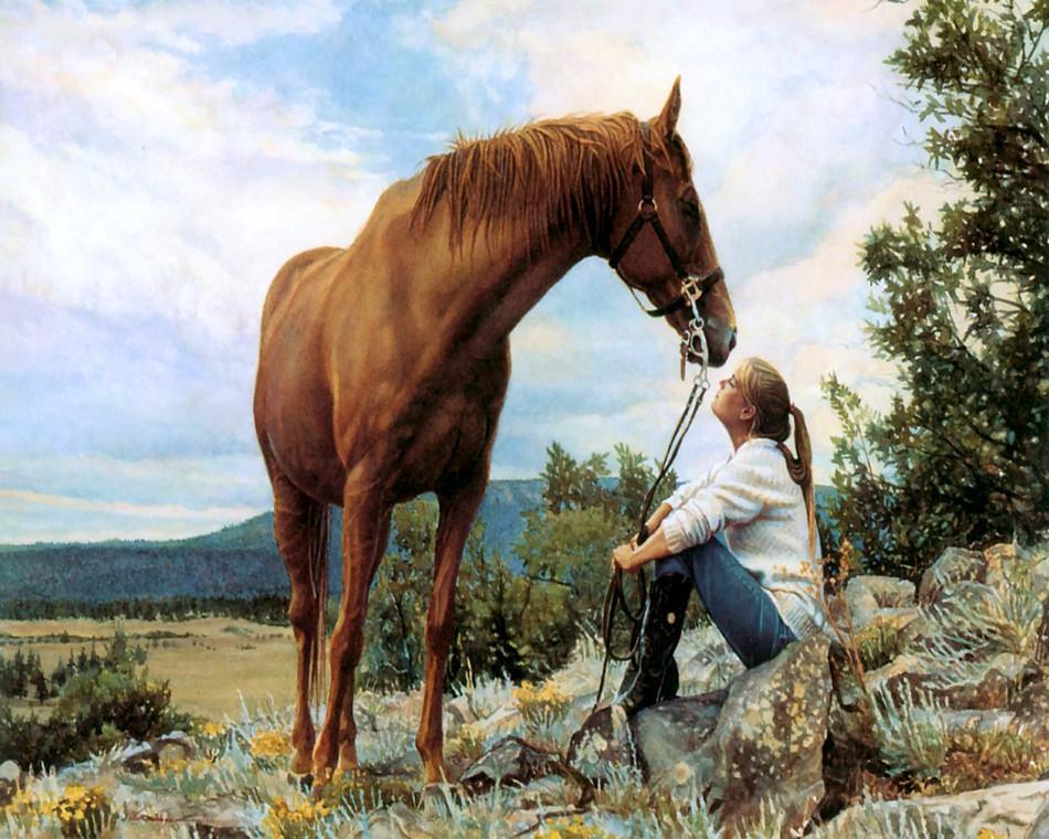 Animal Paint By Numbers Kits UK For Adult OTG6143