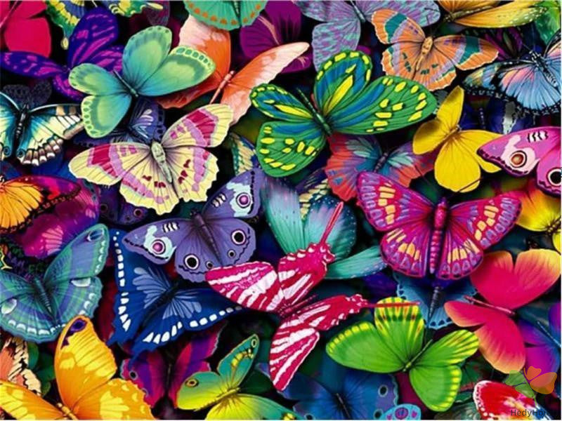 Birds Paint By Numbers Kits UK OTP3419