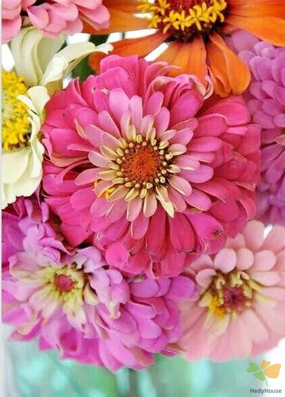 Flower Paint By Numbers Kits UK OTP3480