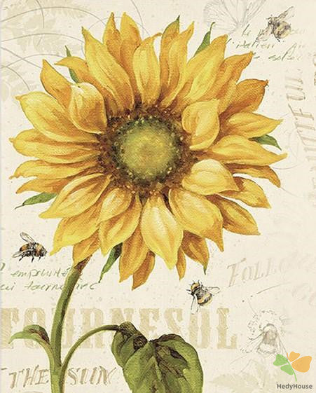 Flower Paint By Numbers Kits UK OTP3482