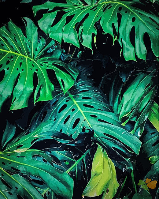 Flower Paint By Numbers Kits UK OTP3508