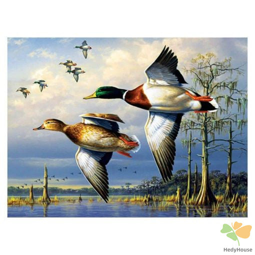 Birds Paint By Numbers Kits UK OTP3520
