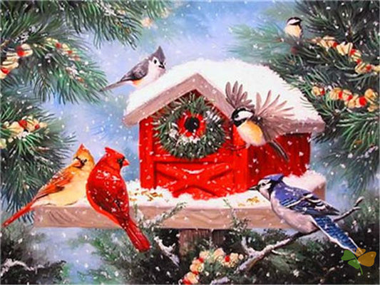 Birds Paint By Numbers Kits UK OTP3534