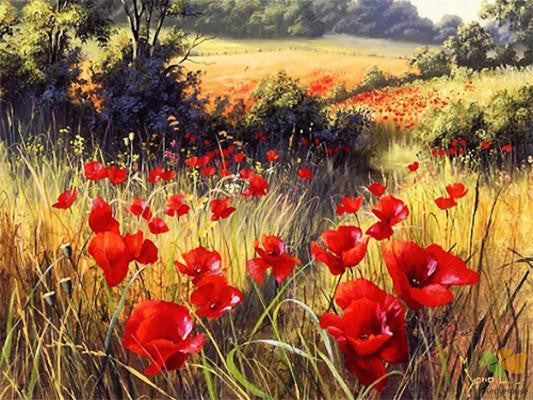 Flower Paint By Numbers Kits UK OTP3547