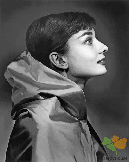 Portrait Paint By Numbers Kits UK PAH8839