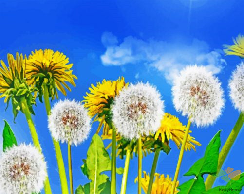 Flower Paint By Numbers Kits UK PGY1205