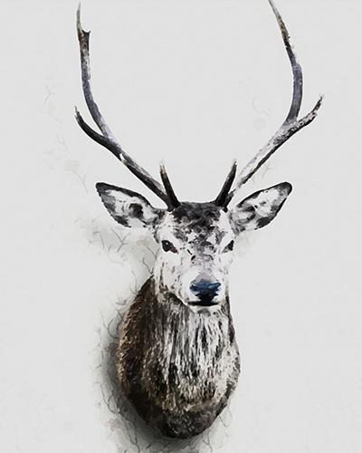 Animal Deer Paint By Numbers Kits UK For Adult PH9208