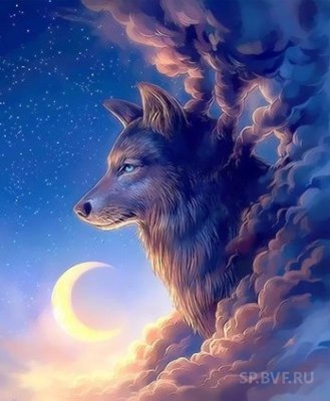 Animal Wolf Paint By Numbers Kits UK For Adult PH9233