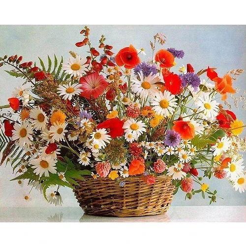 Flower Paint By Numbers Kits UK For Adult PH9275