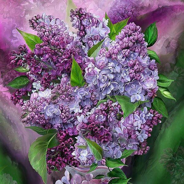 Flower Paint By Numbers Kits UK For Adult RSB8261