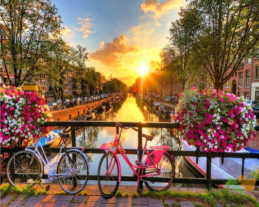 Still Life Paint By Numbers Kits UK RSB8315