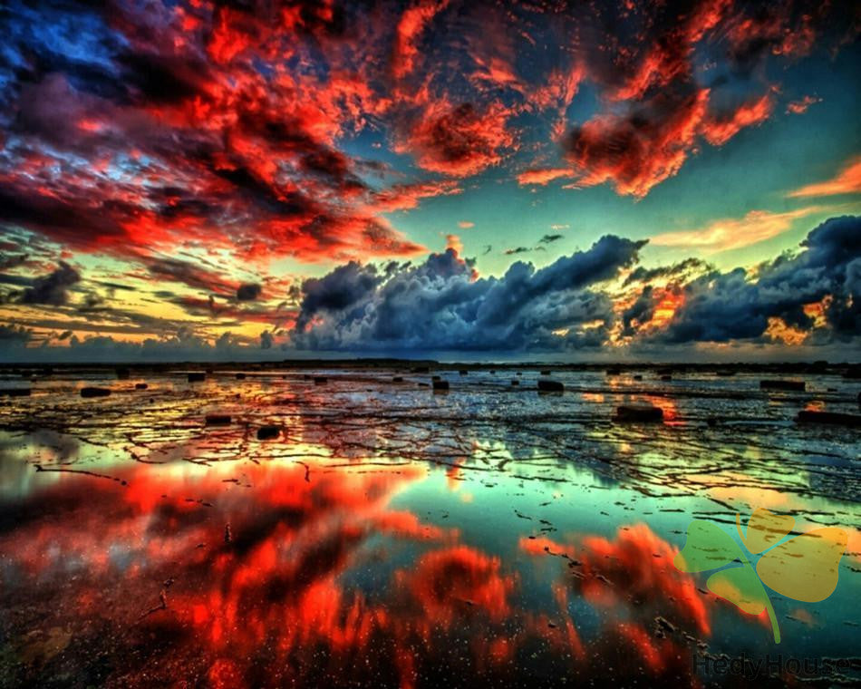 Nature Paint By Numbers Kits UK RSB8481