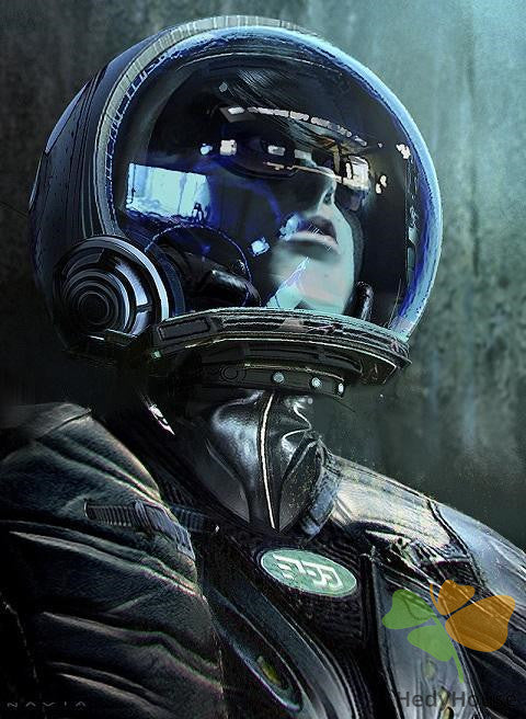 Nature Paint By Numbers Kits UK SPC5445