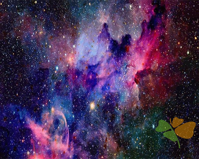 Nature Paint By Numbers Kits UK SPC5447