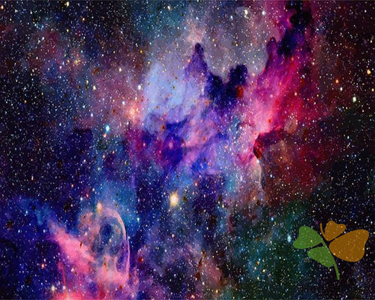 Nature Paint By Numbers Kits UK SPC5447