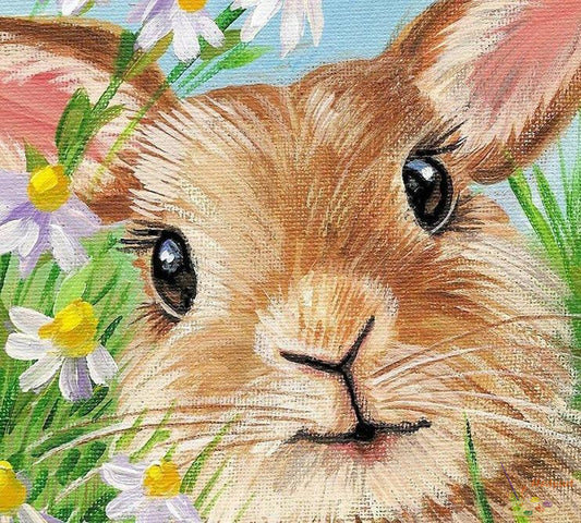 Animal Paint By Numbers Kits UK SQ3227
