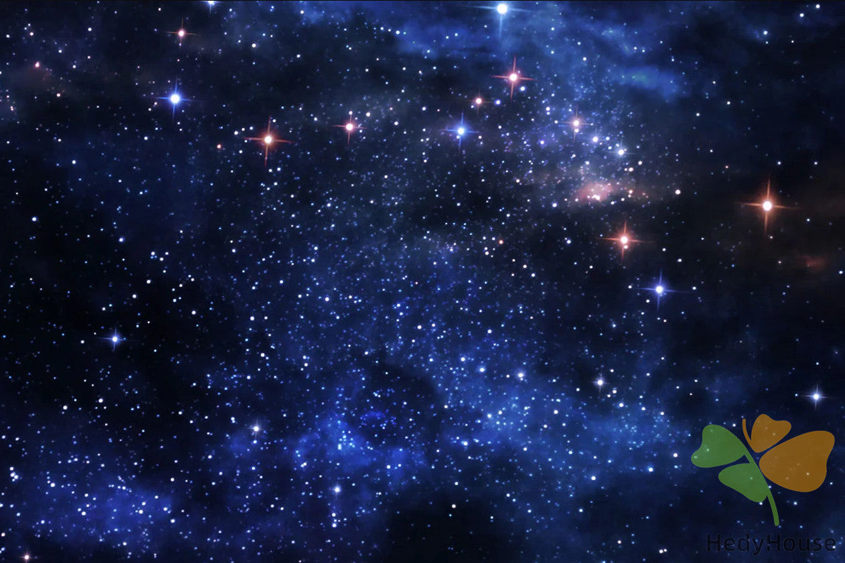 Nature Paint By Numbers Kits UK SS8701