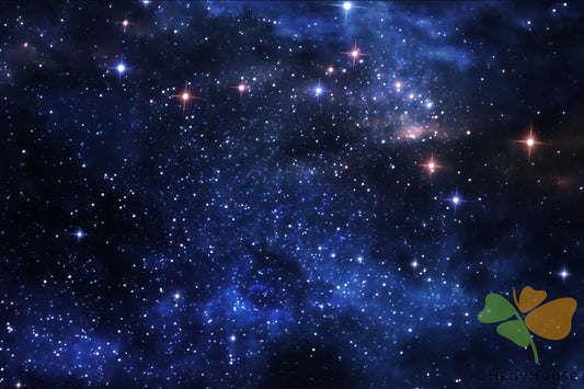 Nature Paint By Numbers Kits UK SS8701