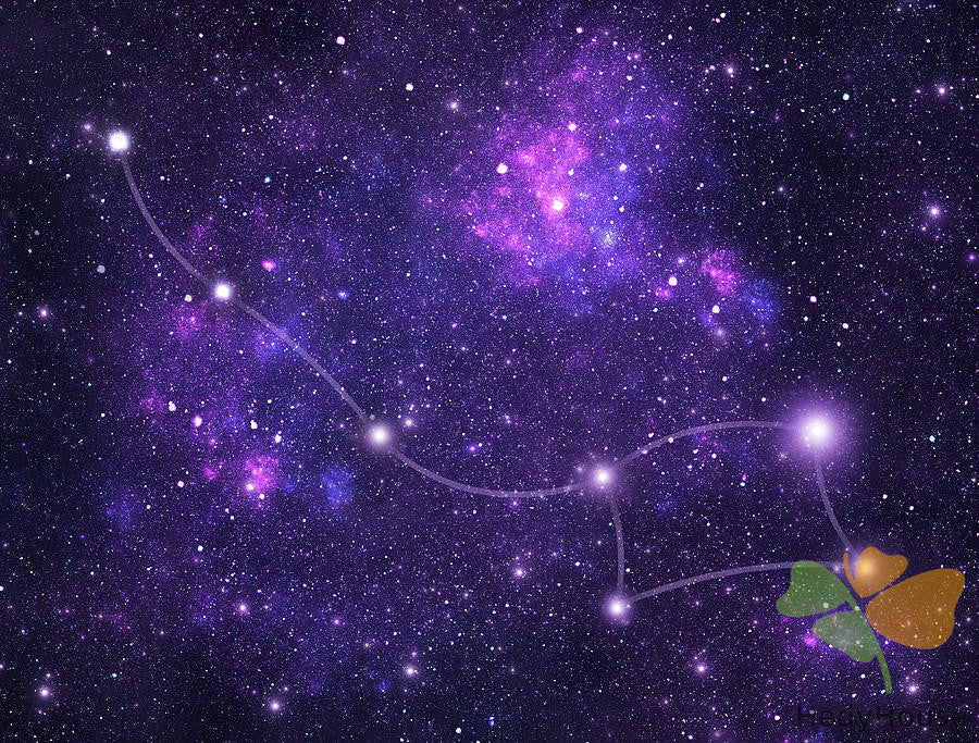 Nature Paint By Numbers Kits UK SS8704