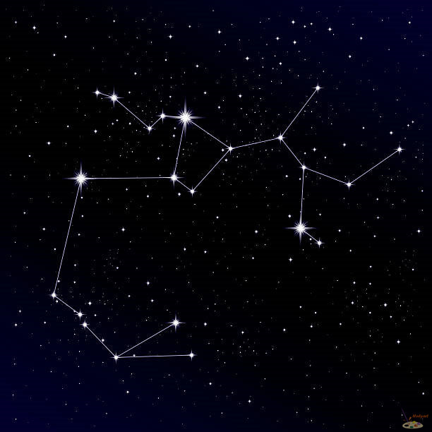 Nature Paint By Numbers Kits UK SS8708