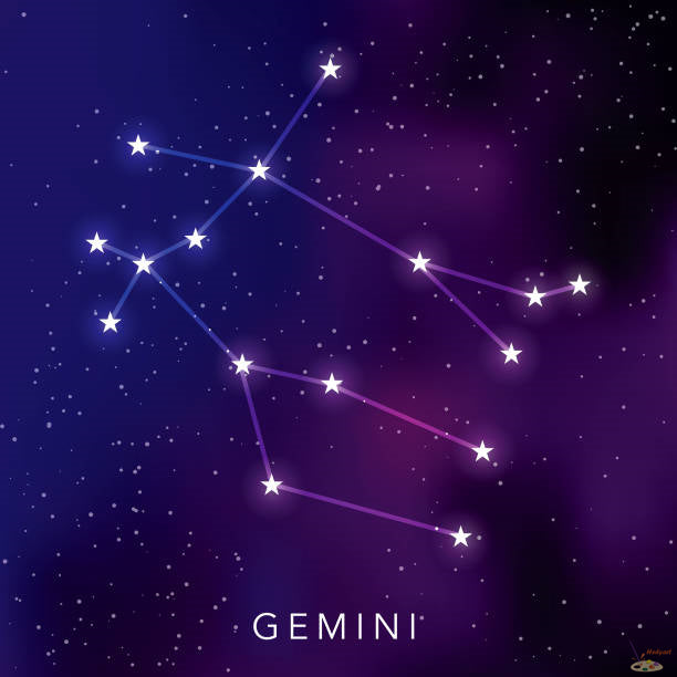 Nature Paint By Numbers Kits UK SS8709