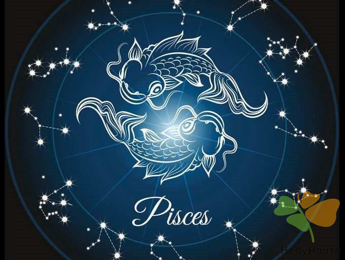 Nature Paint By Numbers Kits UK SS8801