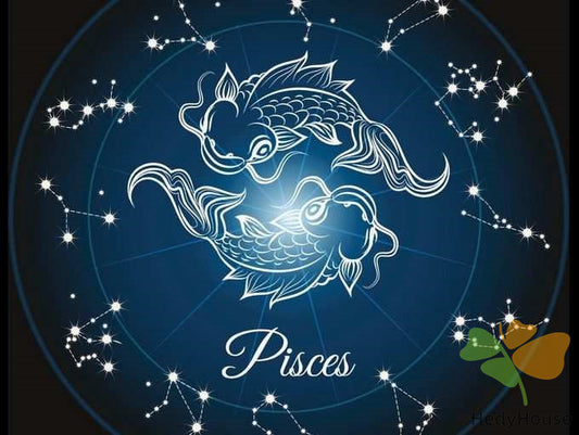 Nature Paint By Numbers Kits UK SS8801