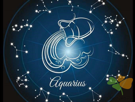 Nature Paint By Numbers Kits UK SS8802