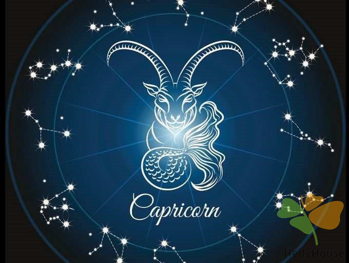 Nature Paint By Numbers Kits UK SS8803