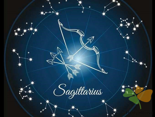 Nature Paint By Numbers Kits UK SS8804