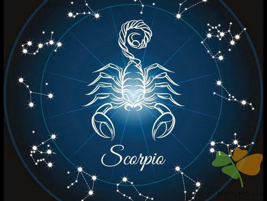 Nature Paint By Numbers Kits UK SS8805