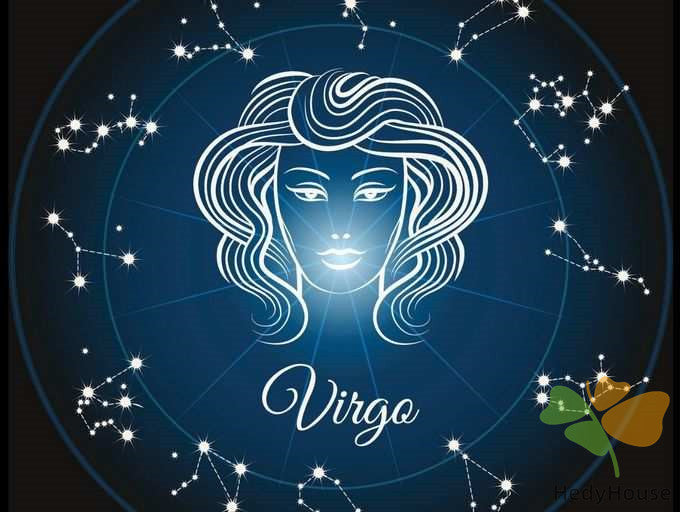 Nature Paint By Numbers Kits UK SS8807