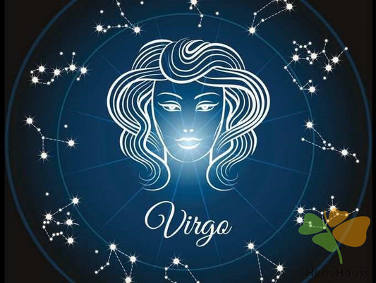 Nature Paint By Numbers Kits UK SS8807