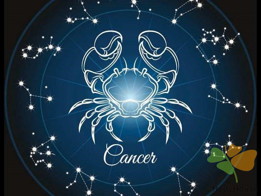 Nature Paint By Numbers Kits UK SS8809