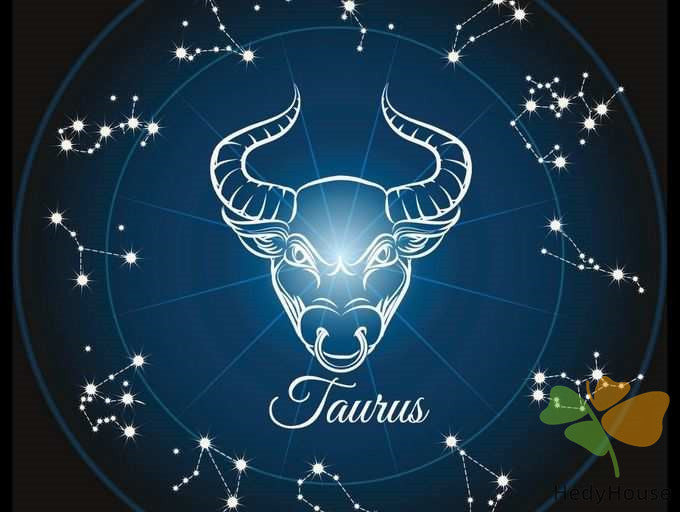 Nature Paint By Numbers Kits UK SS8811