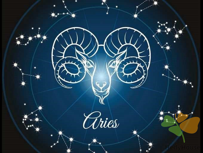 Nature Paint By Numbers Kits UK SS8812