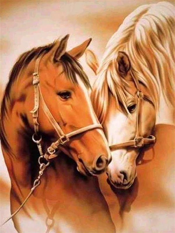 Animal Paint By Numbers Kits UK For Adult TCR3140