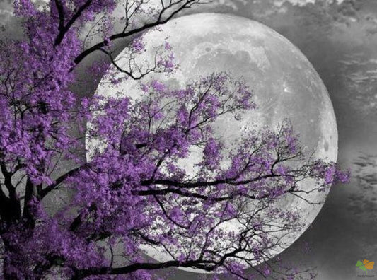 Landscape Paint By Numbers Kits UK VM00058