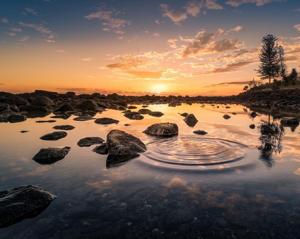 Natural Paint By Numbers Kits UK VM55402