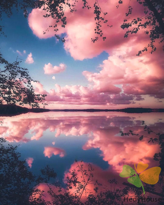 Nature Paint By Numbers Kits UK VM90866