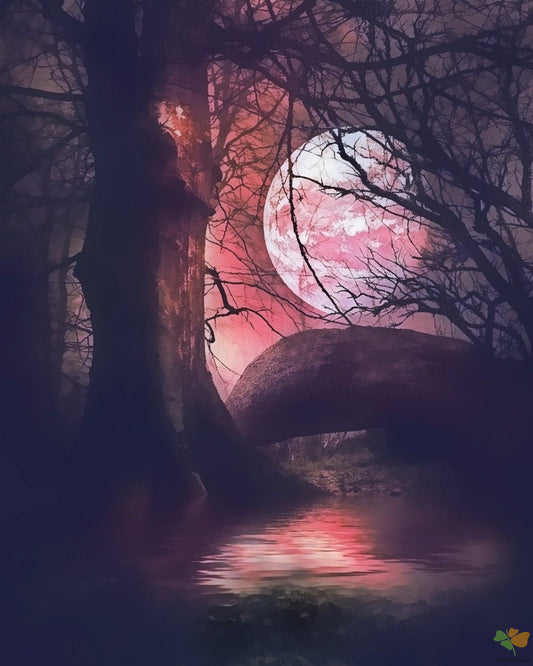 Landscape Paint By Numbers Kits UK VM93048