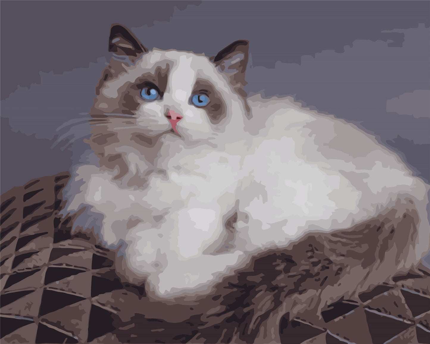 Cat & Dog Paint By Numbers Kits UK WH-1201