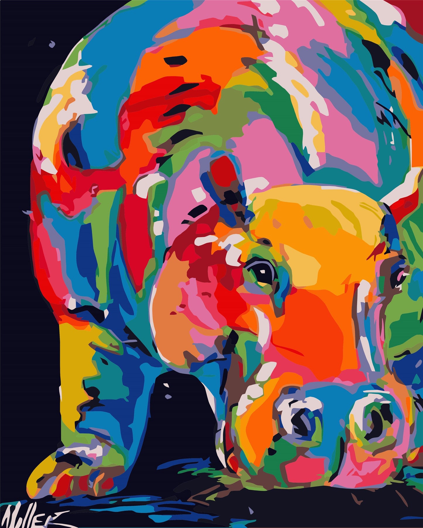 Colorful Paint By Numbers Kits UK WH-1210