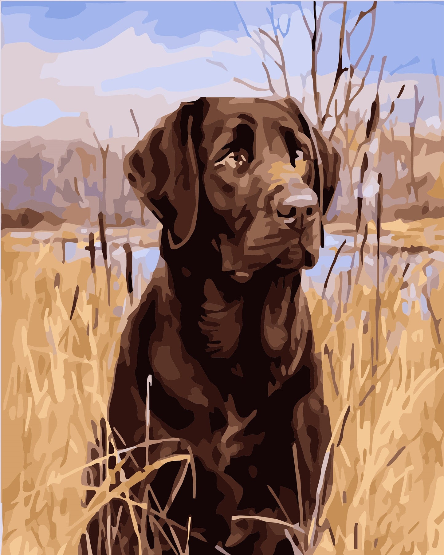 Cat & Dog Paint By Numbers Kits UK WH-1227