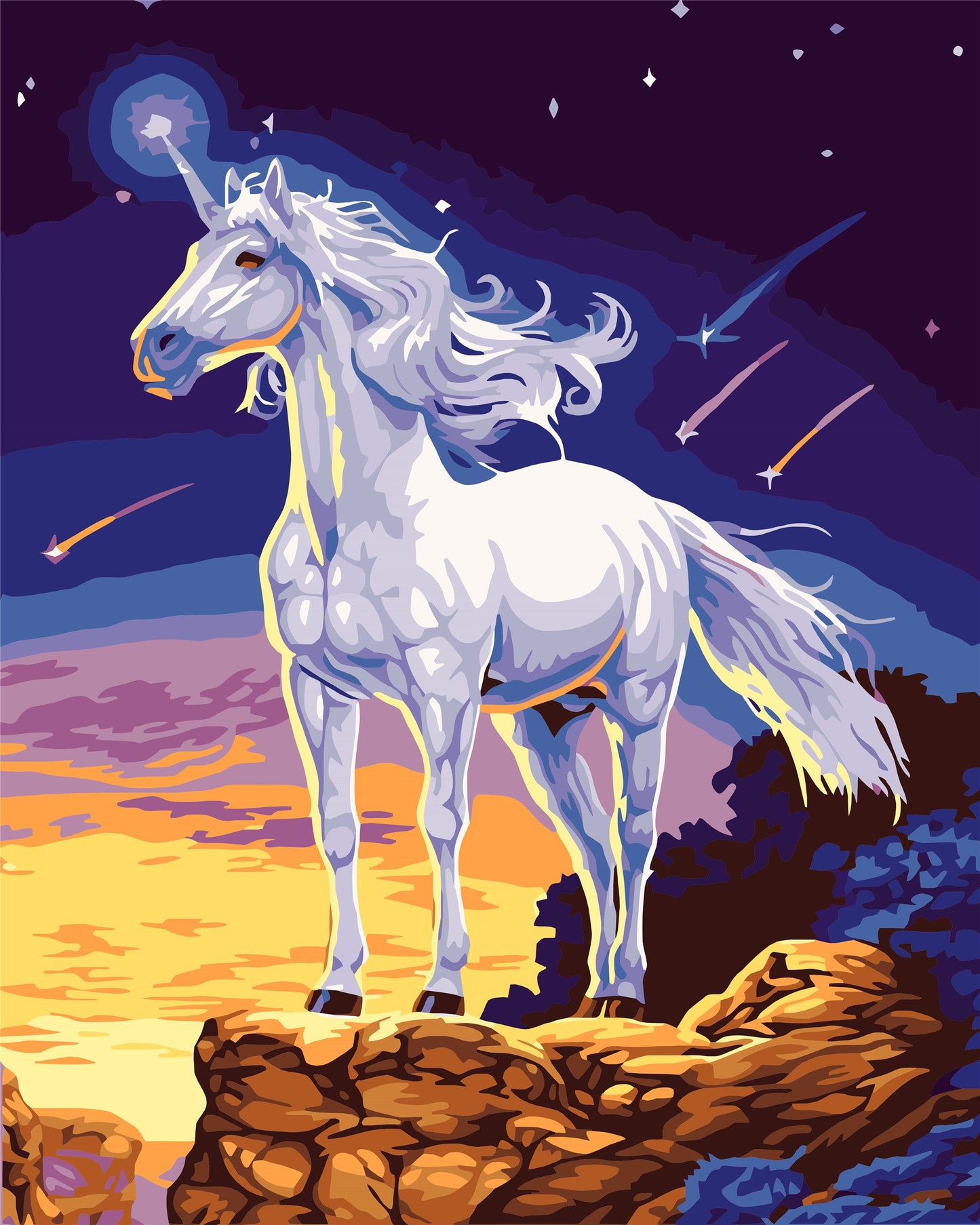 Cartoon & Mystical Paint By Numbers Kits UK WH-1296