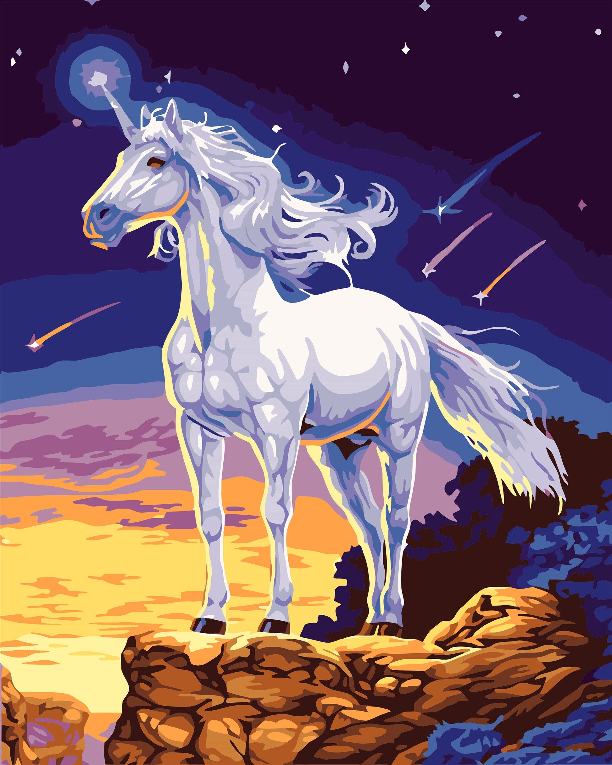 Cartoon & Mystical Paint By Numbers Kits UK WH-1296