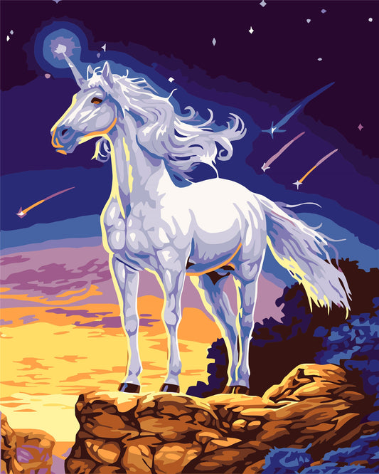 Cartoon & Mystical Paint By Numbers Kits UK WH-1296