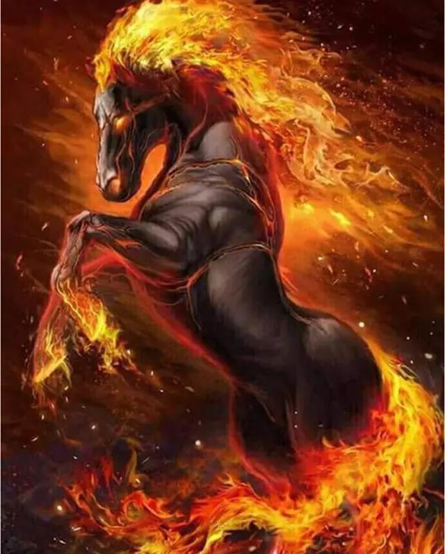 Animal Paint By Numbers Kits UK For Adult WH-3001