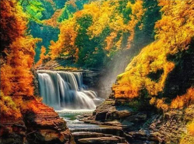 Natural Paint By Numbers Kits UK For Adult WH-3006