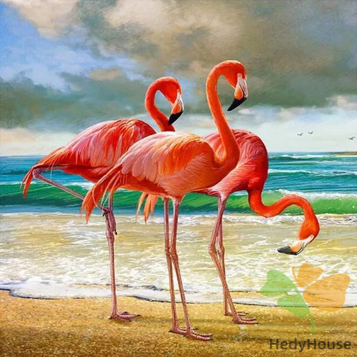 Birds Paint By Numbers Kits UK WH-3013